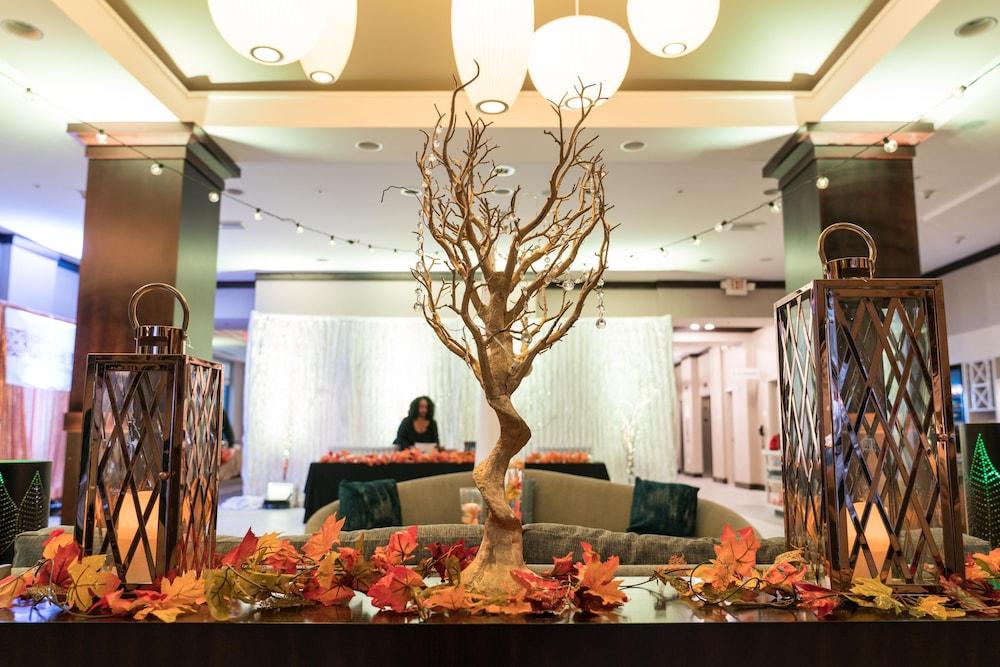 Hilton Garden Inn Shirlington Arlington Extérieur photo